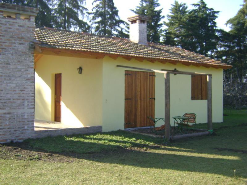 Ciprés 